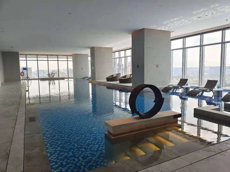 Technical Analysis and Supplier Electio Guide pro Indoor Pool Dehumidification Calor Pumps